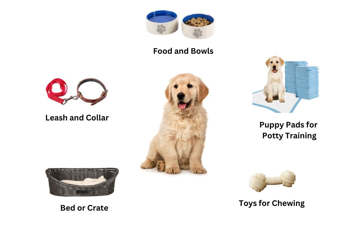 Preparing Your Home for a Golden Retriever Puppy