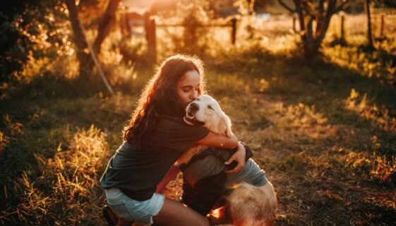 Top Boy Dog Names for Your Golden Retriever