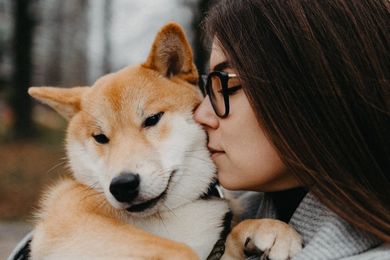 pexels-maksgelatin-9956263 pexels-maksgelatin-9956263