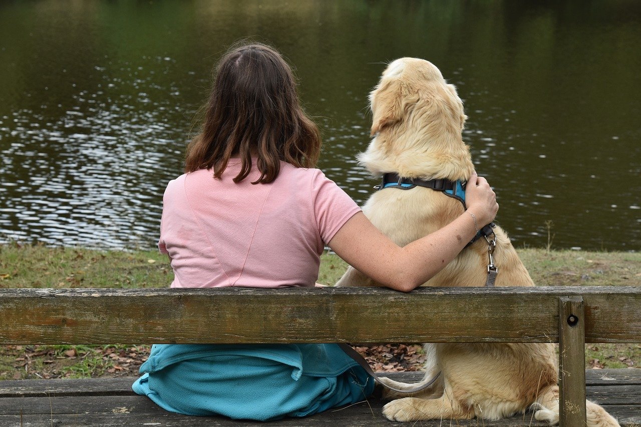 Golden Retriever Therapy Dog Activities