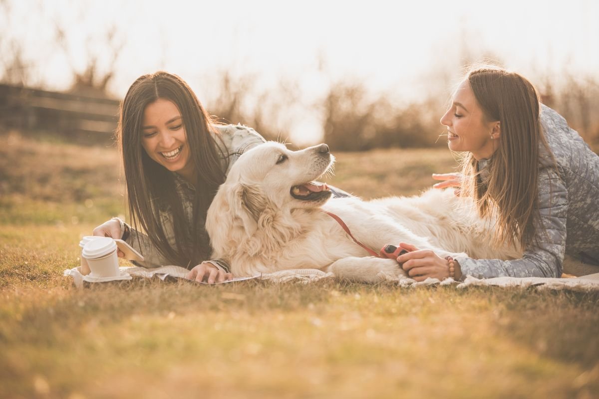 Behavioral Traits That Make Goldens Smile More Behavioral Traits That Make Goldens Smile More