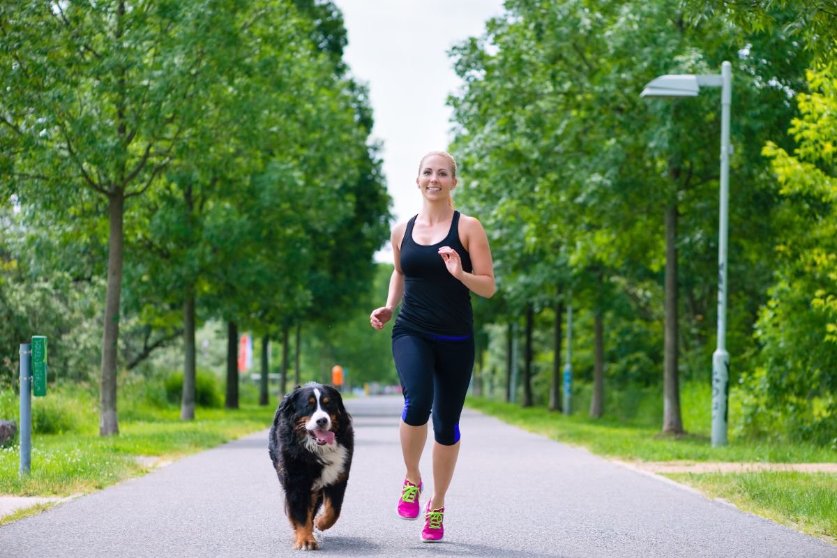 Dog Hiking Tips Dog Hiking Tips