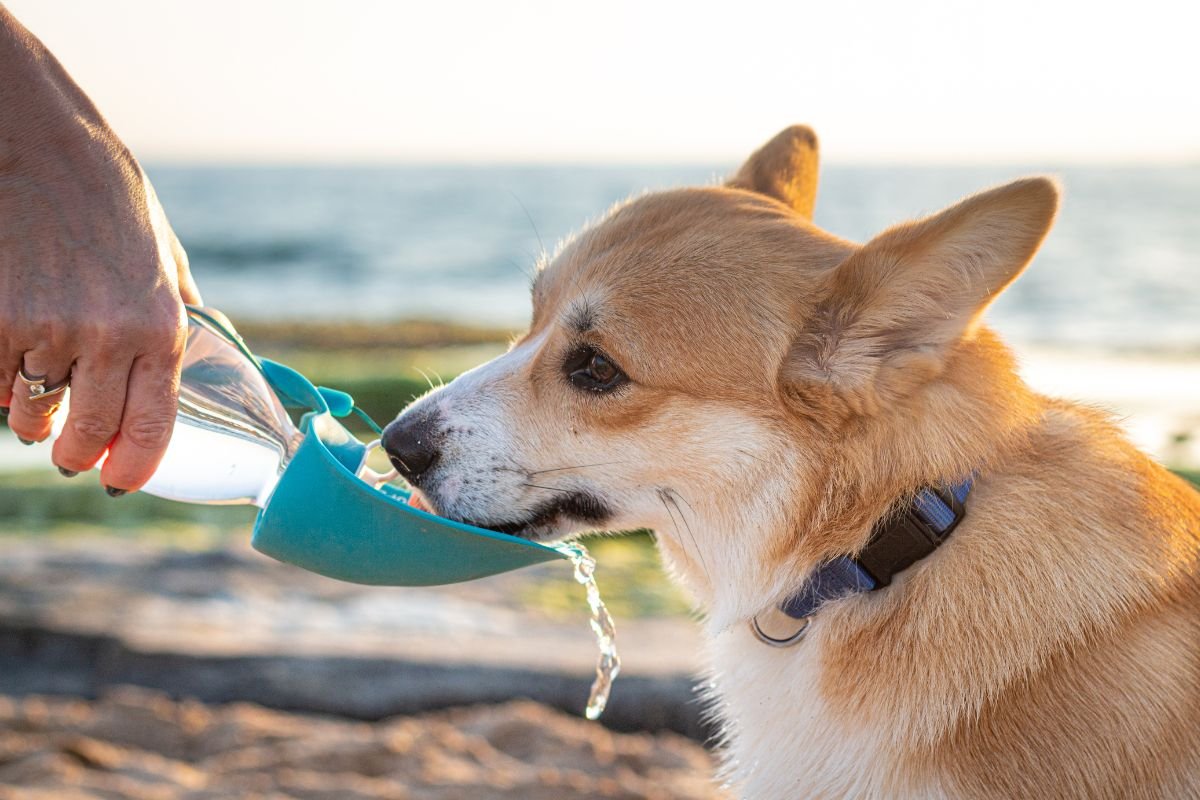 Safety Tips for a Stress-Free Beach Day Safety Tips for a Stress-Free Beach Day