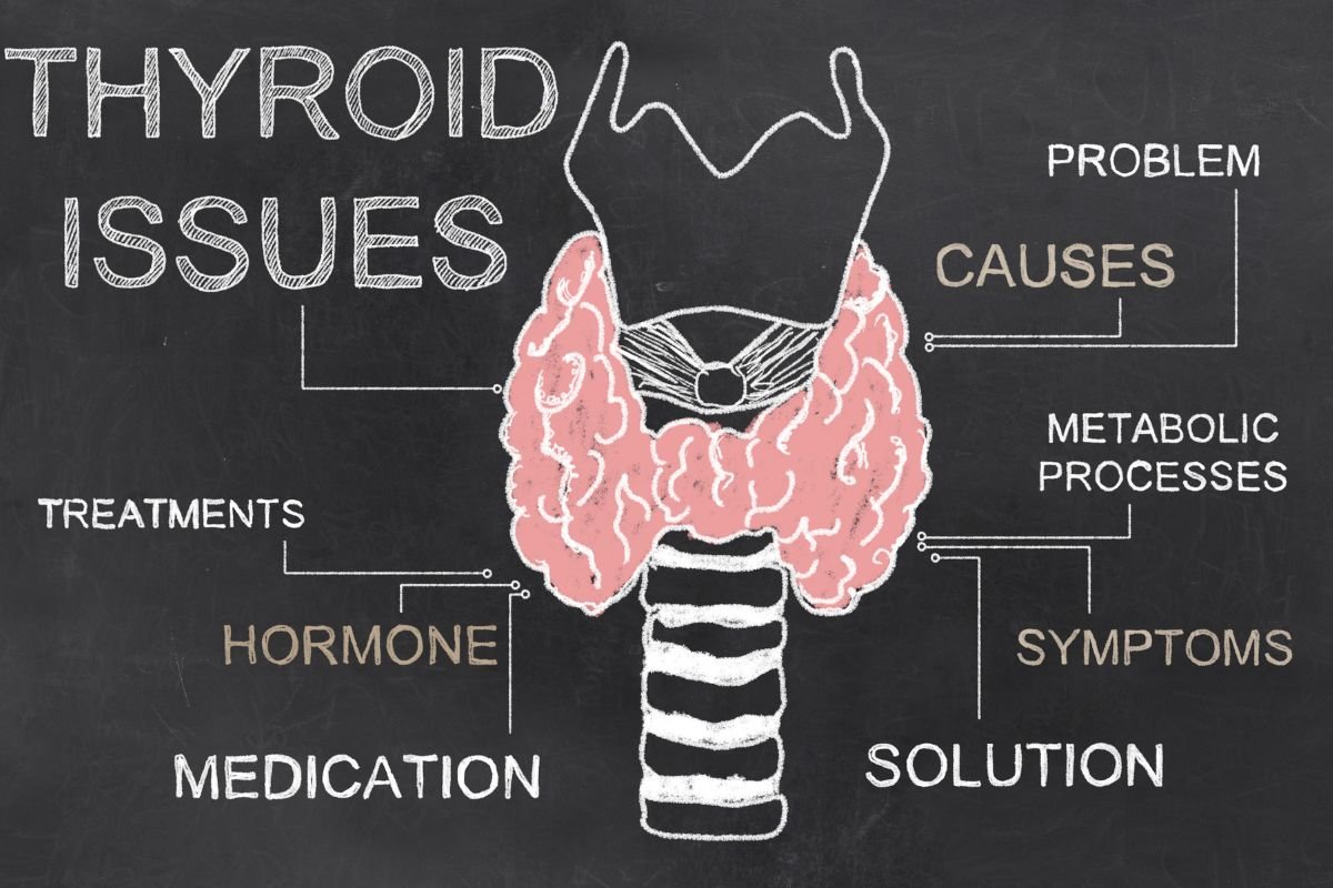 Golden Retriever Hypothyroidism Golden Retriever Hypothyroidism