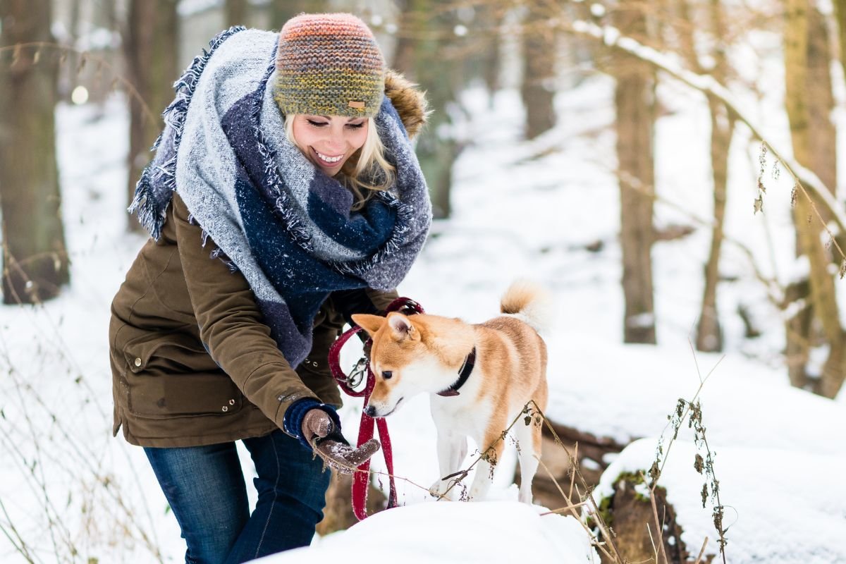Dog Winter Hiking Tips Dog Winter Hiking Tips