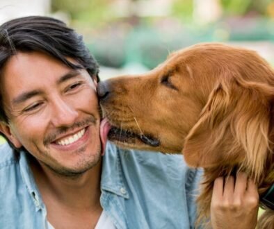 Why Do Dogs Lick People