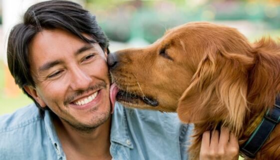 Why Do Dogs Lick People