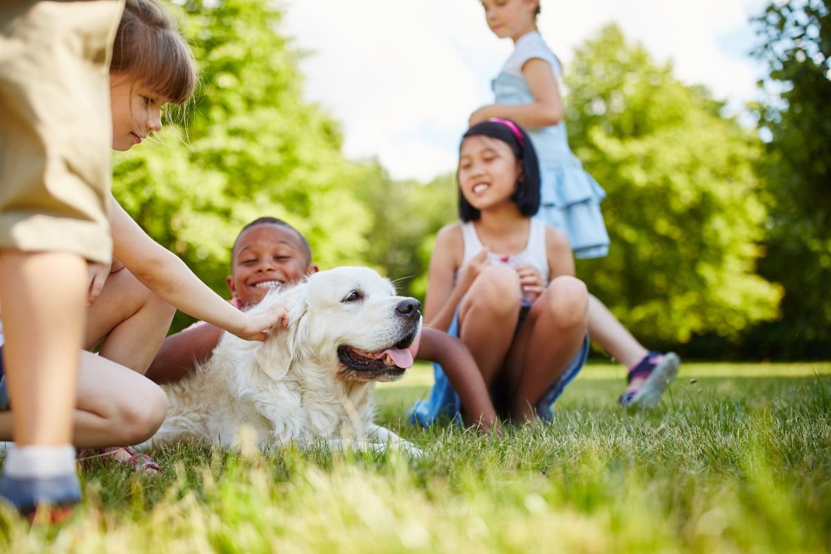 Golden Retriever Family-Friendly and Great with Kids Golden Retriever Family-Friendly and Great with Kids