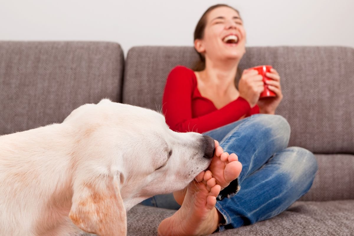 What Your Dog Is Trying to Tell You What Your Dog Is Trying to Tell You