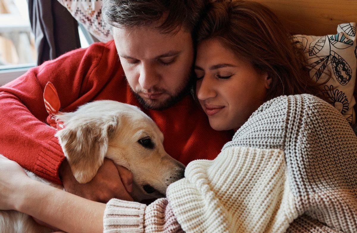 Golden Retriever Mental Health Boosters: Golden Retrievers and Emotional Support Golden Retriever Mental Health Boosters: Golden Retrievers and Emotional Support