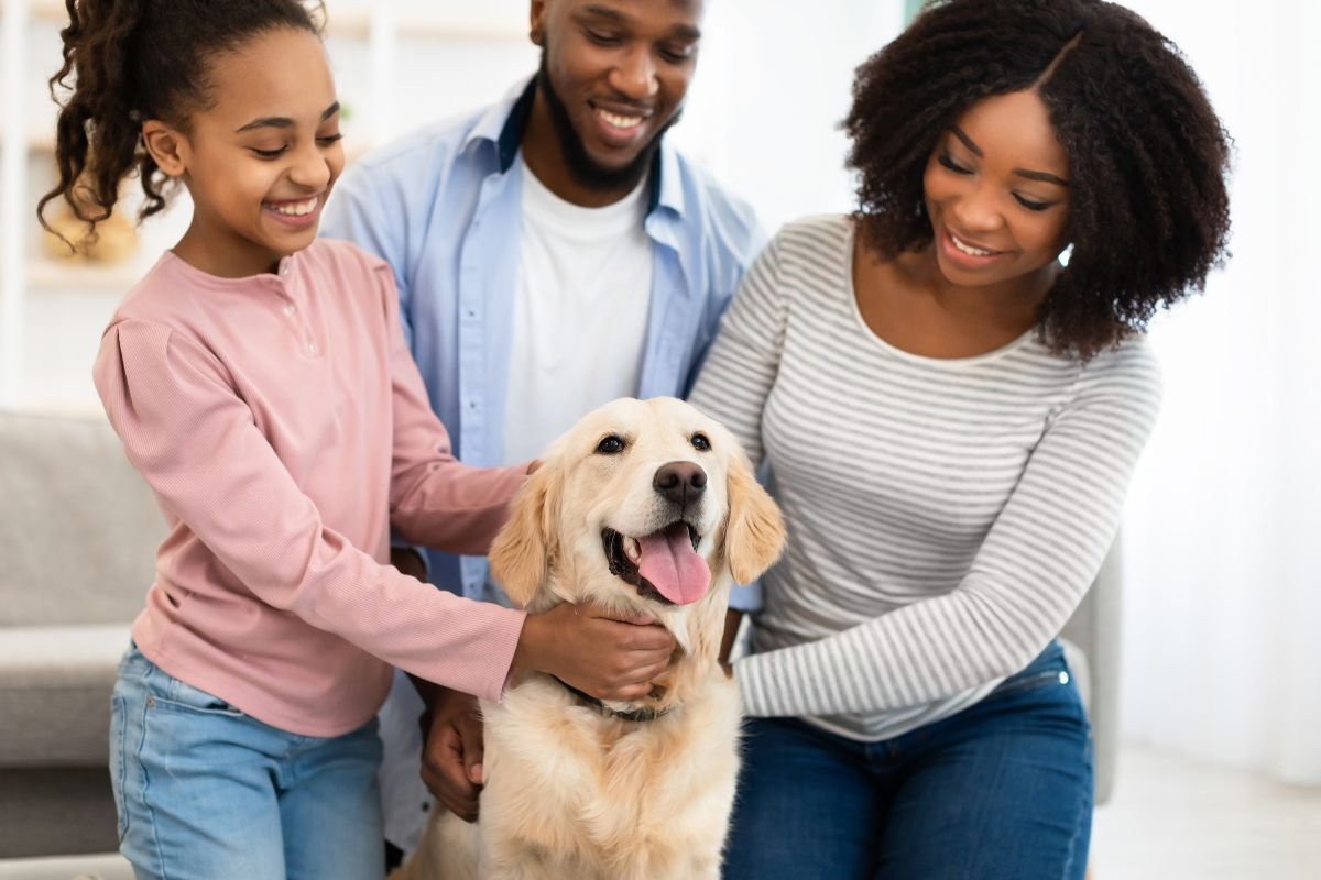 Golden Retriever Personality and Touch Preferences Golden Retriever Personality and Touch Preferences