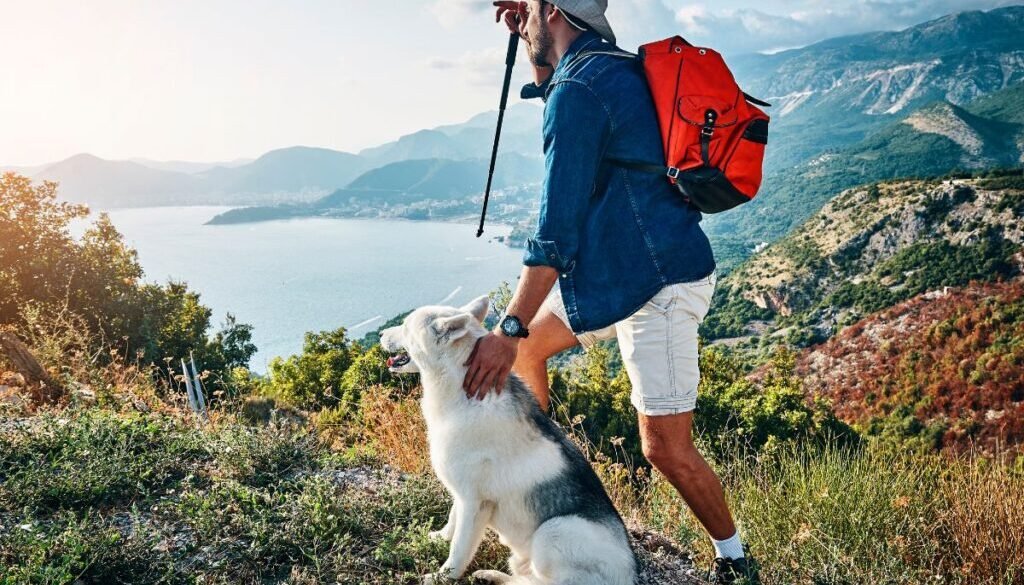 Dog Hiking Tips for a Safe and Fun Experience