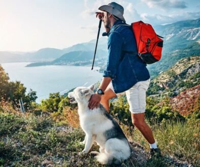 Dog Hiking Tips for a Safe and Fun Experience