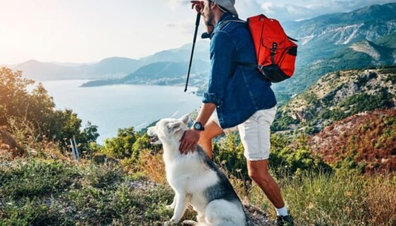 Dog Hiking Tips for a Safe and Fun Experience