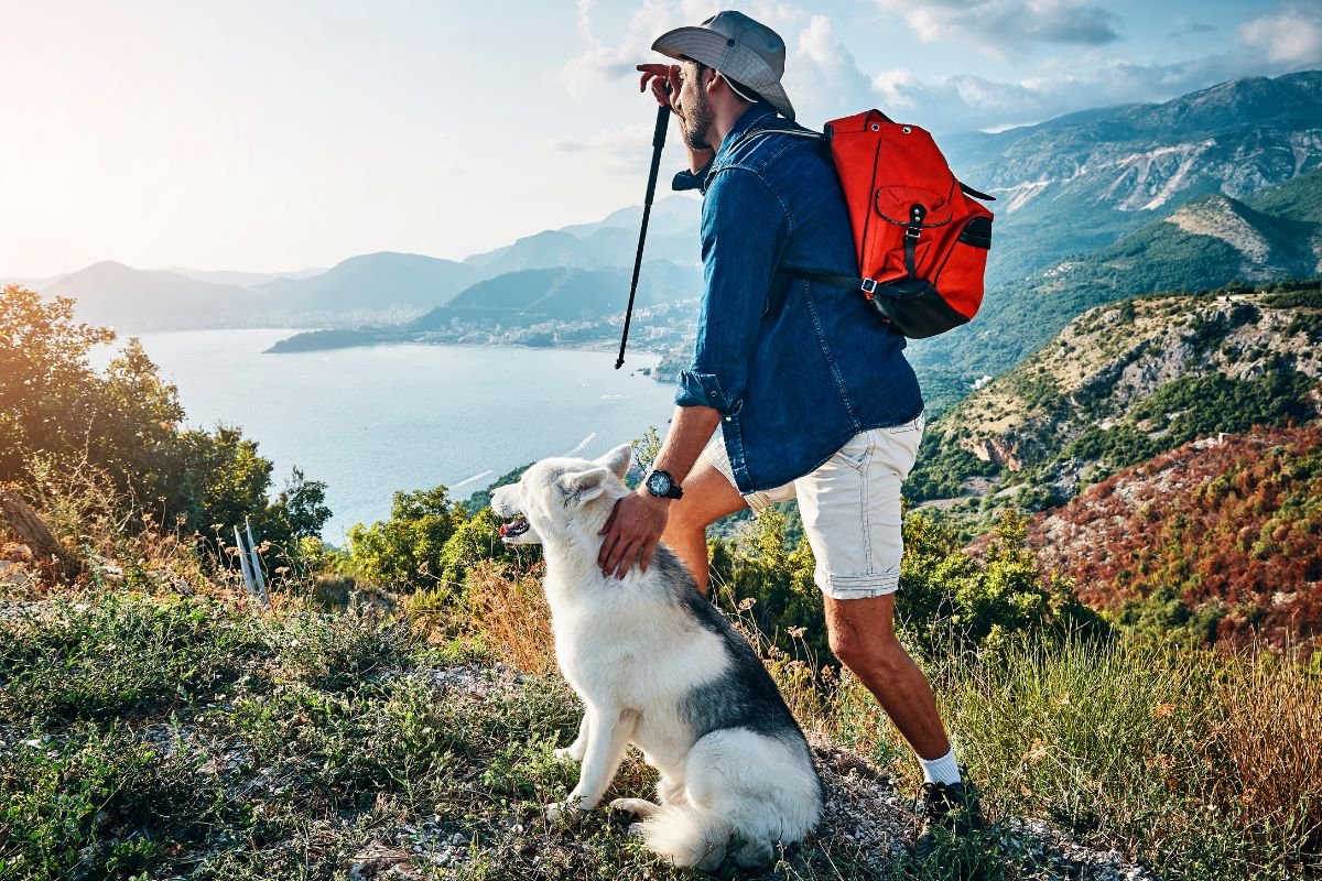 Dog Hiking Tips for a Safe and Fun Experience