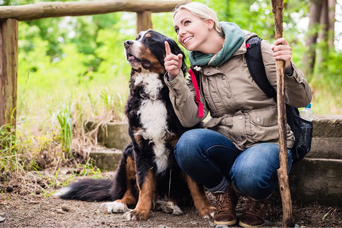 Dog Hiking Tips for a Safe and Fun Experience Dog Hiking Tips for a Safe and Fun Experience