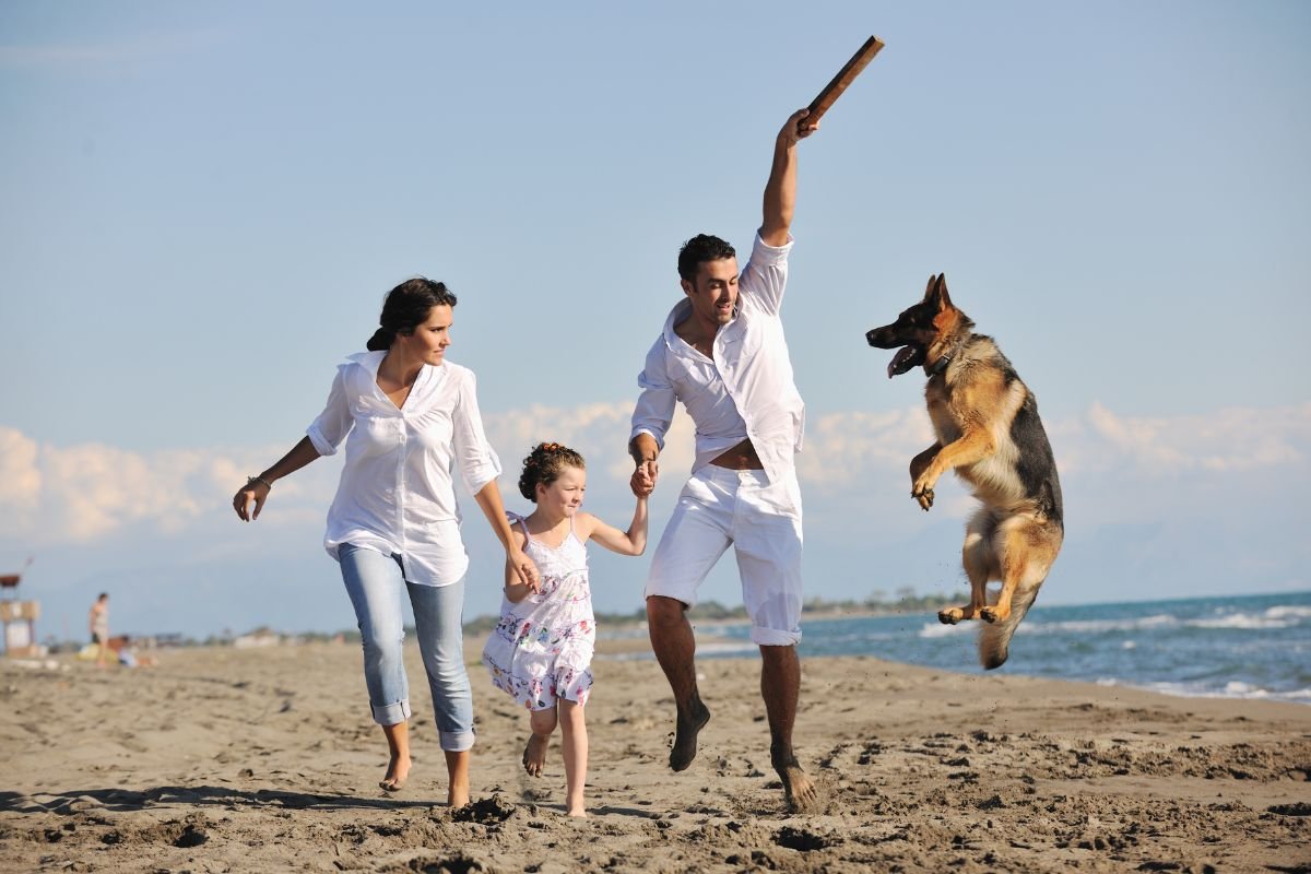 Games to Play with Your Dog Games to Play with Your Dog