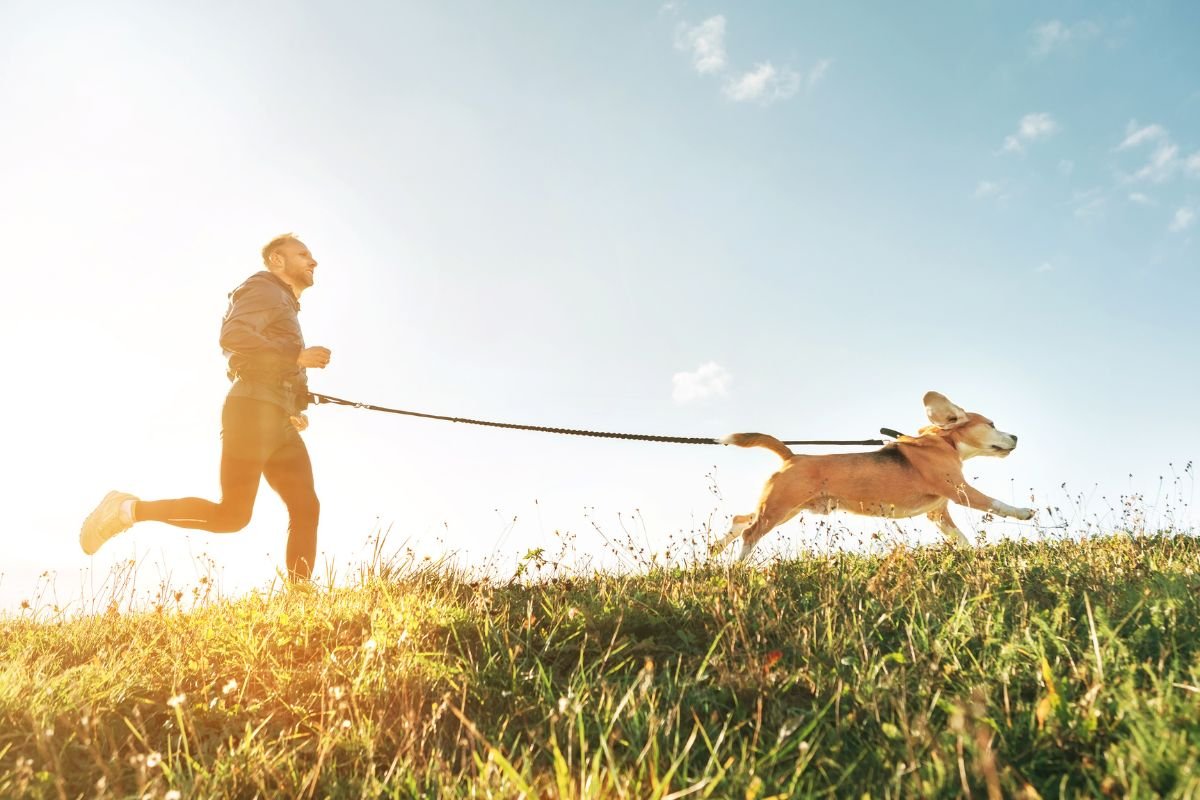 Factors That Affect a Beagle’s Speed Factors That Affect a Beagle’s Speed